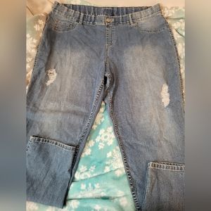 LANE Bryant Jeans